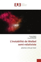 Khalifa Abdi, Slimen Belghit, Chaimaa Mihoubi - L'instabilité de Weibel semi-relativiste