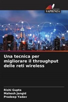 Rishi Gupta, Mahesh Jangid, Pradeep Yadav - Una tecnica per migliorare il throughput delle reti wireless