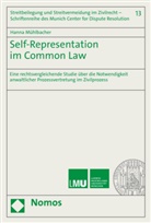 Hanna Mühlbacher - Self-Representation im Common Law