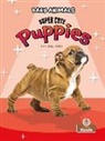 Amy Culliford - Super Cute Puppies