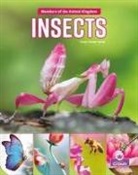 Tracy Vonder Brink - Insects
