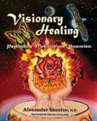 Alexander Chester, Alexander Shester, M. D. Alexander Shester - VISIONARY HEALING Psychedelic Medicine and Shamanism