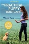 Jordan Wade - The Practical Puppy Bootcamp