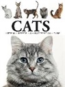 Julianna Photopoulos - Cats