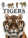 Paula Hammond - Tigers