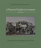 Jose Eduardo Agualusa, Daniel Hahn - A Practical Guide to Levitation