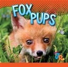 Jen Besel - Fox Pups