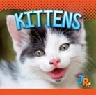 Jen Besel - Kittens