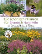Ursula Kopp - Die schönsten Pflanzen für Bienen und Hummeln u.v.a. nützliche Insekten. Für Garten, Balkon & Terrasse