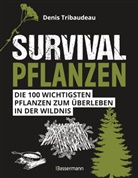 Denis Tribaudeau - Survivalpflanzen. Die 100 wichtigsten Pflanzen zum Überleben in der Wildnis