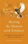 Sue Schneider - Meeting the Moment with Kindness