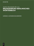 Anneliese Bretschneider, Gerhard Ising, Joachim Wiese - Brandenburg-Berlinisches Wörterbuch. Brandenburg-Berlinisches Wörterbuch, Band 1 - Band 1. Lieferung 4: Aufzieher bis balkendüster