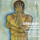 Alban Berg, Alban Mahler Berg, Gustav Mahler, Camerata RCO, Barbara Steffani Hannigan, Rolf Verbeek - Sehnsucht (Live-Aufnahme), 1 Audio-CD (Audio book)