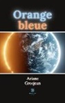 Ariane Grosjean, Grosjean-a - Orange bleue