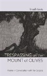 Brad Davis - Trespassing on the Mount of Olives
