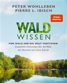 Pierre L. Ibisch, Peter Wohlleben - Waldwissen