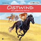 Rosa Schwarz, Rubina Nath - Ostwind - Ein gefährliches Rennen, 3 Audio-CD (Audio book)
