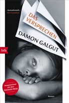 Damon Galgut - Das Versprechen