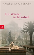Angelika Overath - Ein Winter in Istanbul