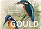 John Gould - Postkarten-Set John Gould