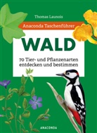 Thomas Launois, Xavier Nitsch, Sophie Padié, Sophie u a Padié, Morgane Peyrot, Charles Zettel - Anaconda Taschenführer Wald - 70 Tier- und Pflanzenarten entdecken und bestimmen