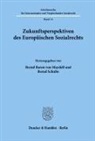Bernd Baron von Maydell, Bernd Baron Von Maydell, Bernd von Maydell, Schulte, Bernd Schulte - Zukunftsperspektiven des Europäischen Sozialrechts.