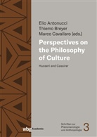 Elio Antonucci, Thiemo Breyer, Thiemo Breyer (Prof. Dr.), Marco Cavallaro, M Cavallaro (Dr. des.) - Perspectives on the Philosophy of Culture