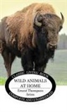 Ernest Thompson Seton - Wild Animals at Home