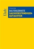Martin Attlmayr, Johann Fischerlehner, Step Frotz, Stephan Frotz, Johann Guggenbichler, Thomas Klicka... - Das fehlerhafte Sachverständigengutachten