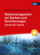 Anja Blatter, Anja (Prof. Dr.) Blatter, Sean Bradbury, Pa Bruhn, Pascal Bruhn, E... - Risikomanagement bei Banken und Versicherungen Schritt für Schritt