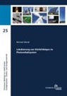Michael Wendl - Lokalisierung von Störlichtbögen im Photovoltaiksystem