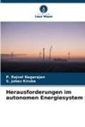 S Jabez Kiruba, S. Jabez Kiruba, P Rajvel Nagarajan, P. Rajvel Nagarajan - Herausforderungen im autonomen Energiesystem