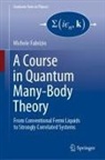 Michele Fabrizio - A Course in Quantum Many-Body Theory