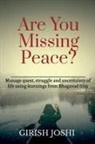 Girish Joshi - Are You Missing Peace?