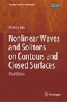 Andrei Ludu - Nonlinear Waves and Solitons on Contours and Closed Surfaces