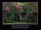 Christel Schweser - Frieden suchen, Frieden finden
