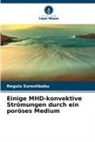 Regula Sureshbabu - Einige MHD-konvektive Strömungen durch ein poröses Medium