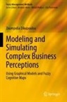 Zoumpolia Dikopoulou - Modeling and Simulating Complex Business Perceptions
