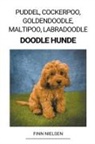 Finn Nielsen - Puddel, Cockerpoo, Goldendoodle, Maltipoo, Labradoodle (Doodle Hunde)
