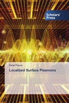 Sahar Pasyar - Localized Surface Plasmons