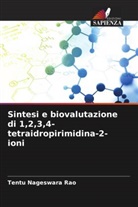 Tentu Nageswara Rao - Sintesi e biovalutazione di 1,2,3,4-tetraidropirimidina-2-ioni