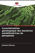 Jitendra Malviya - Caractérisation génotypique des bactéries solubilisatrices de phosphate