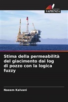 Naeem Kalvani - Stima della permeabilità del giacimento dai log di pozzo con la logica fuzzy