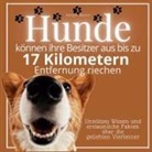 Steffi Meier - Hunde können ihre Besitzer aus bis zu 17 Kilometern Entfernung riechen