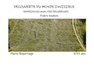 Frederic Baudouin - Découverte du monde Invisible