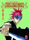 Tite Kubo - Maximum Bleach 6