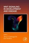 Wnt Signaling in Development and Disease: Volume 153