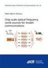 Pablo Marin-Palomo - Chip-scale optical frequency comb sources for terabit communications