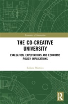 Lukasz Mamica, Łukasz Mamica - Co-Creative University