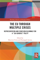 Maurizio (Universita DI Siena Cotta, Maurizio Cotta, Cotta Maurizio, Pierangelo Isernia, Isernia Pierangelo - Eu Through Multiple Crises